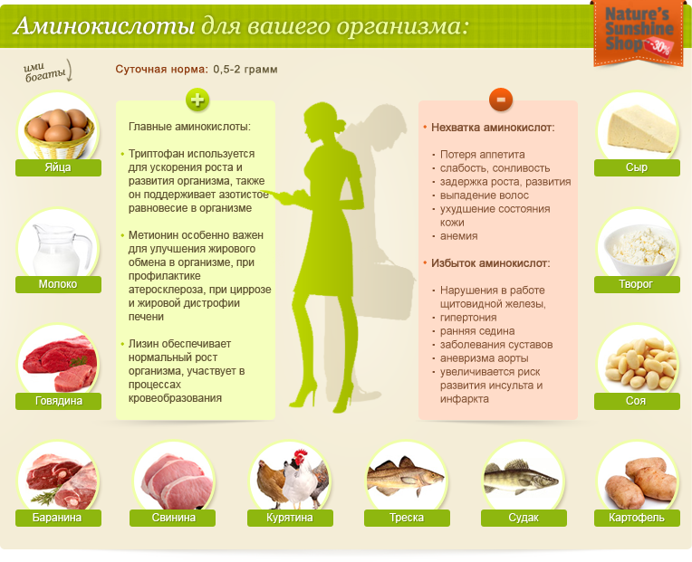 Аминокислоты и их участие в здоровом питании