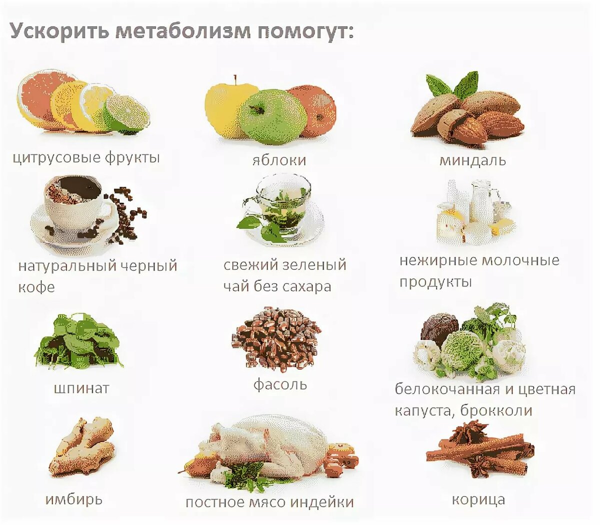 Как нормализовать и ускорить обмен веществ