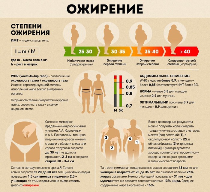 Расчет индекса массы тела и степени ожирения