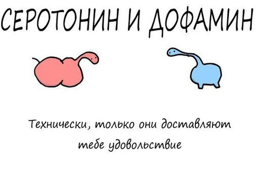 Симптомы дефицита серотонина. Признаки нехватки 