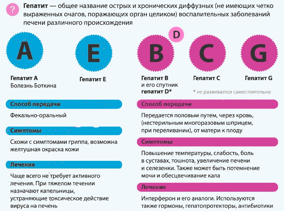 Гепатит: симптомы, виды, причины возникновения и лечение